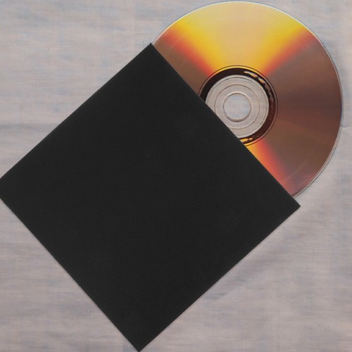 10 Pcs Borsa CD Viaggiare Organizzatore Di Archiviazione Custodie Per Dvd - Afbeelding 9 van 12