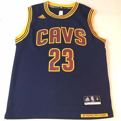 blue cavs lebron jersey