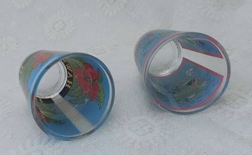 2er Set mehrfarbige Hawaii Schnapsgläser 2 3/8" hoch mit umliegenden Designs - Bild 5 von 6