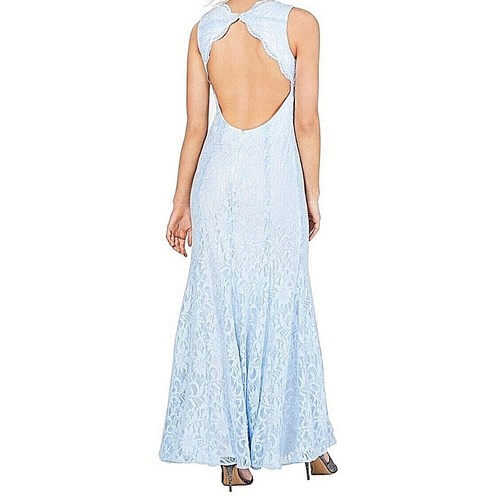 Morgan & Co. Ladies Beautiful Sky Blue Shimmery Lacey Floral Gown - Size 16W - Picture 2 of 8
