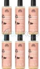 Image of Urtekram Organic Nordic Berry Shampoo - 250ml (Pack of 6)