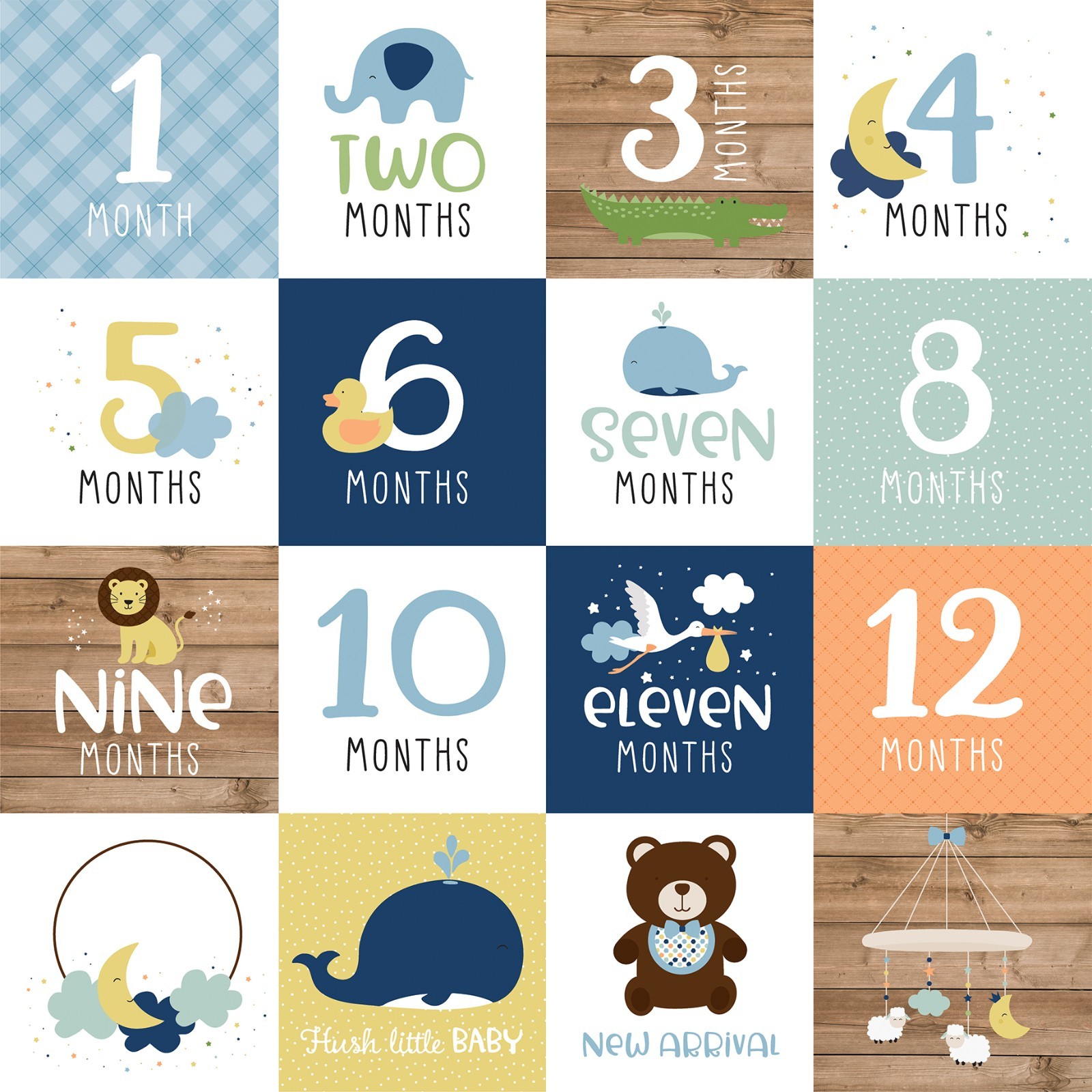 Baby Boy  Echo Park Collection Kit