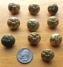 Ten Civil War Small Buttons Waterbury-G Canyon