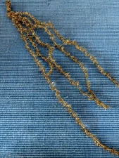 Cluster of Fine Gold Antique Tinsel on Cord for Feather Tree