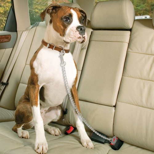 Cinturón de seguridad de acero inoxidable para perro coche ajuste rápido cadena perro correa clip mascota cinturón de viaje - Imagen 11 de 12