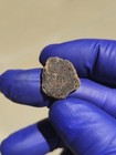 NWA 2907 Ungrouped Achondrite Meteorite 1.544g Part Slice Rare COA — photo 10