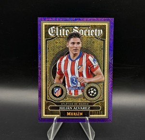 Merlin Purple | eBay