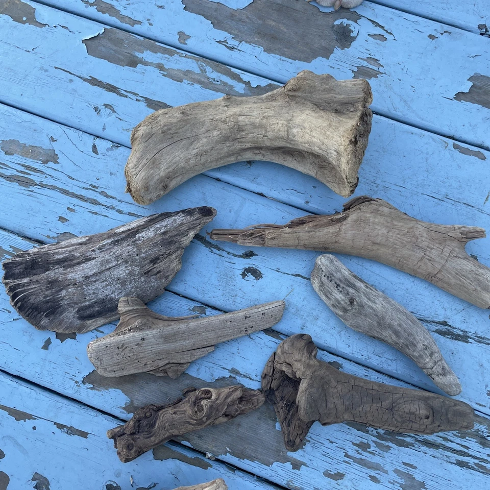 Madera a la deriva sin tratar GRAN lote decoración acuario terrario reptiles artesanía Foto 4 de 4