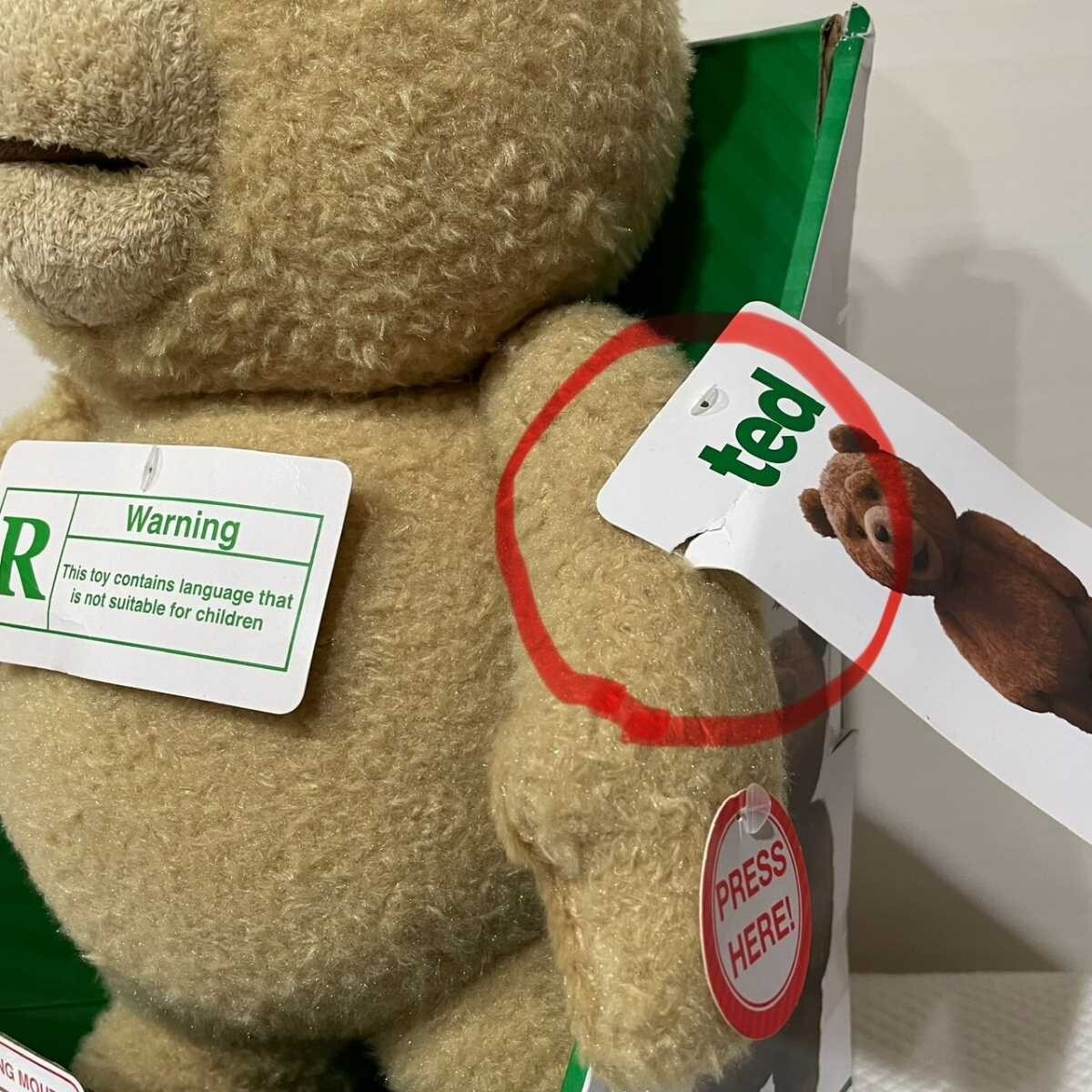 Ted Talking Plush Teddy Bear American version from JAPAN