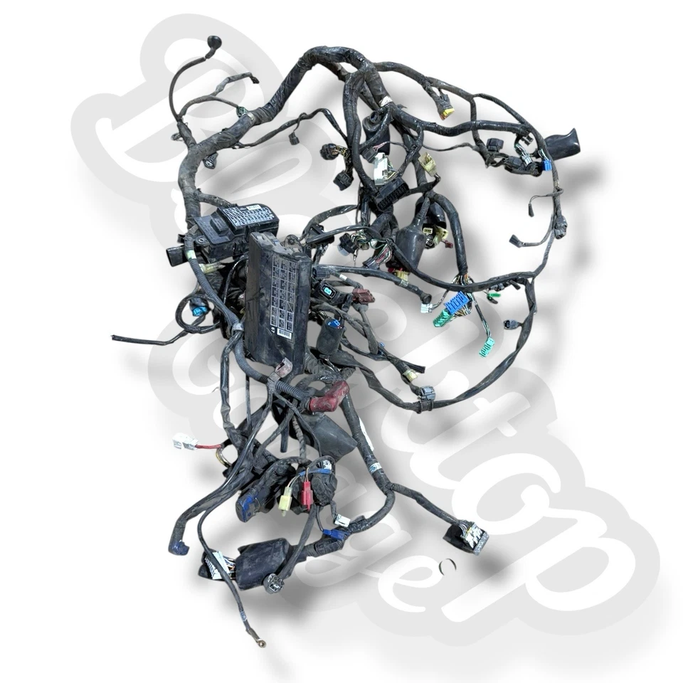 01-05 Honda Goldwing 1800 GL 1800 Main Wiring Wire Harness Loom - Image 2 of 4