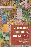 David Mcmahan (U. A.) | Meditation, Buddhism, And Science | Taschenbuch (2017)