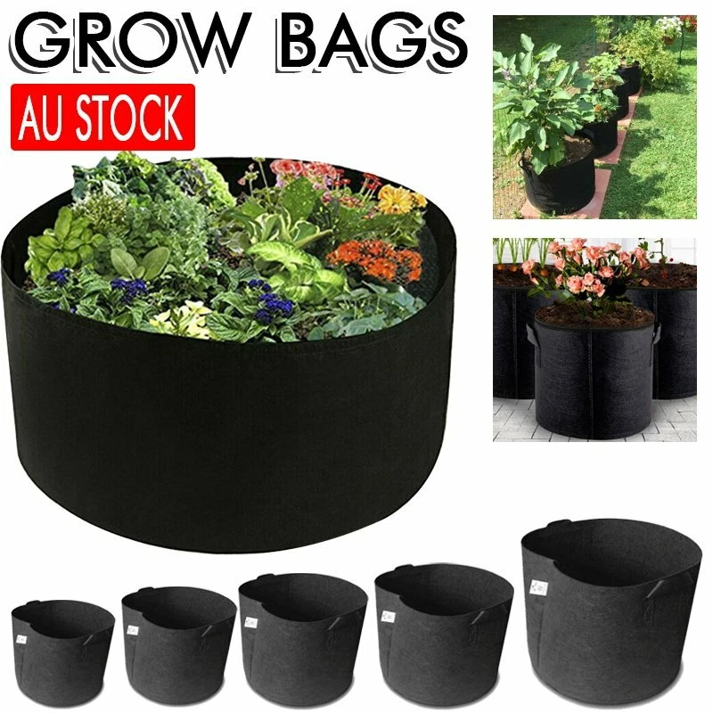 Details 168+ 5 gallon plastic grow bags best esthdonghoadian