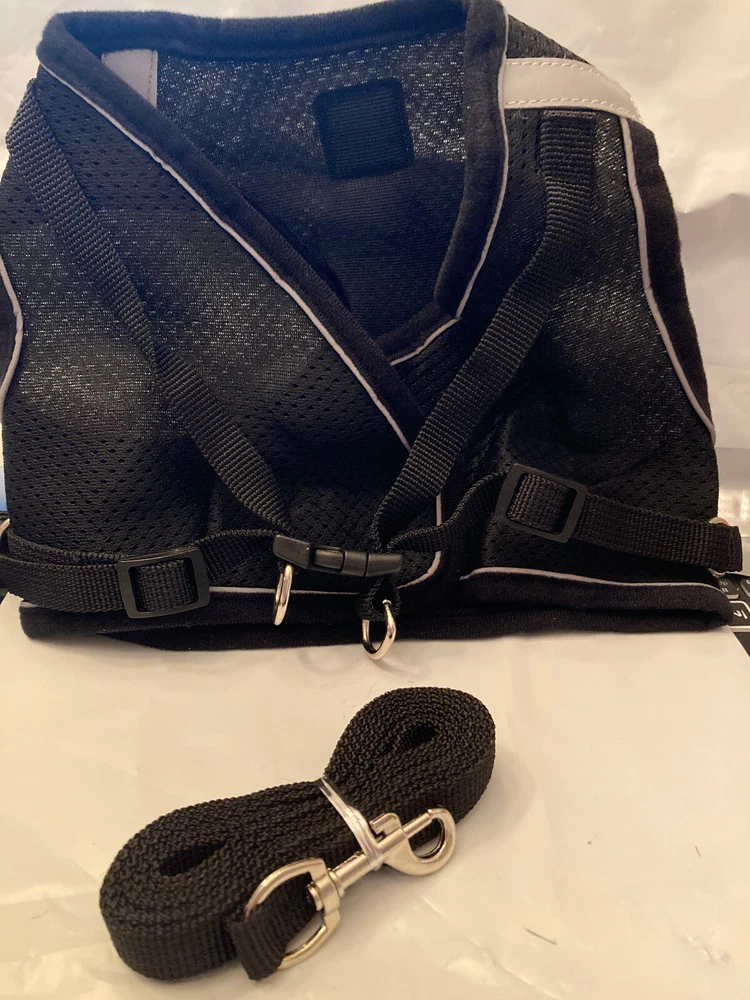 dog harness black and leash extra small up to 5 pounds girth 7in to 11in