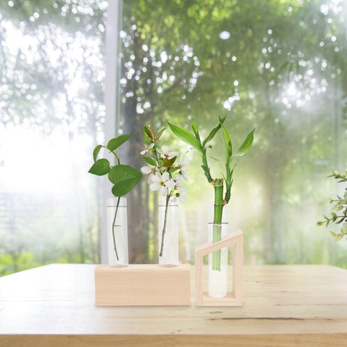 2pcs Desktop Glass Vase Glass Test Tube Vase Bulb Vase Planter Desktop Bulb Vase - Picture 4 of 12