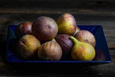 100+ Hardy Chicago Fig Seeds for Garden Planting - USA - FREE SHIPPING!