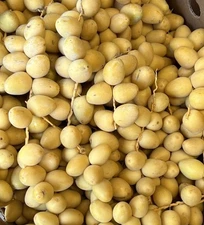 7 LB YELLOW BARHI DATRS ... CALIFORNIA FRESH.