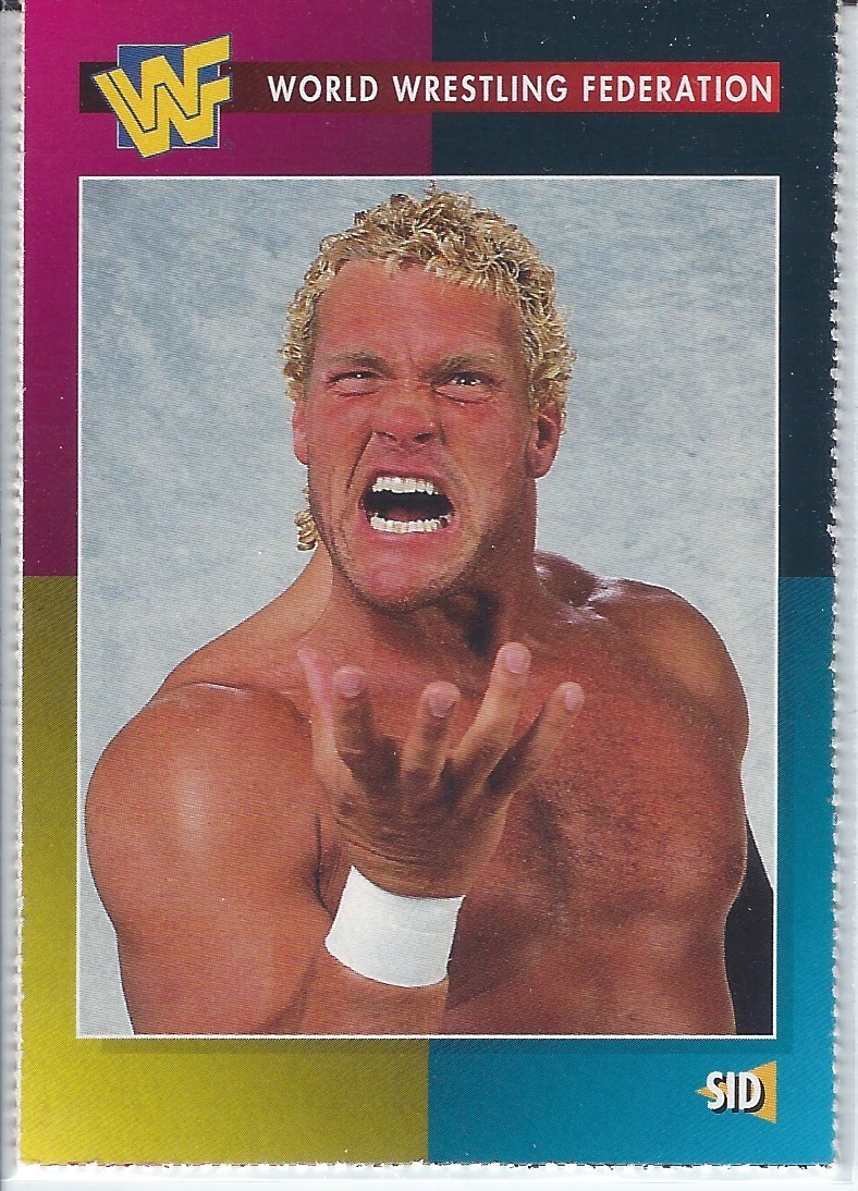 Sid / Sid Vicious 1995 WWE WWF Magazine Wrestling Trading Card #46