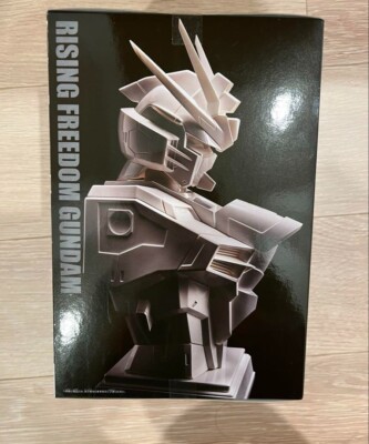 Gundam SEED FREEDOM G CERAMICAL Rising Freedom Gundam figure Japan