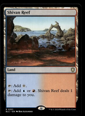 Shivan Reef #331 MTG Bloomburrow NM X1