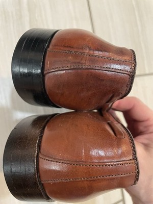 Alden 560