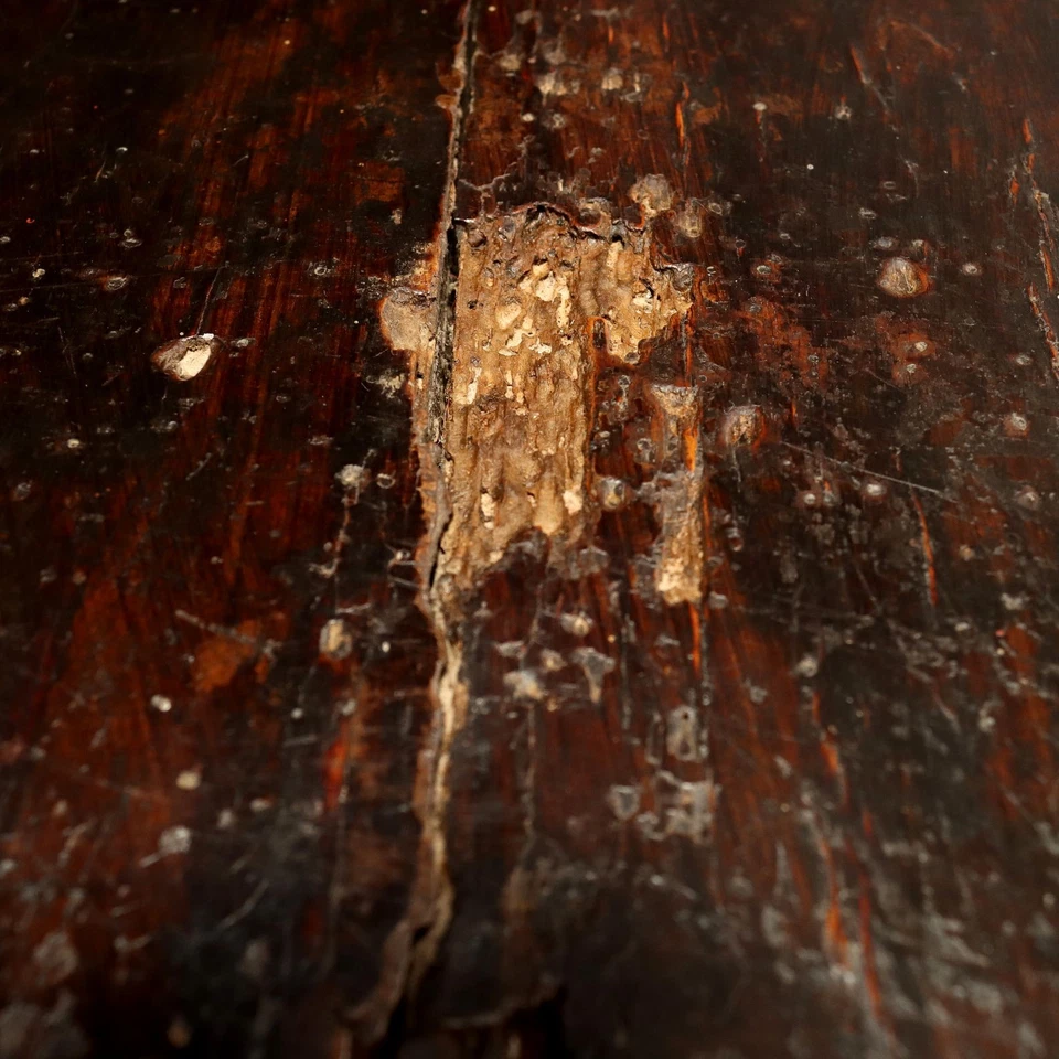 Antiguo armario barroco nogal Italia siglo XVIII Foto 4 de 4