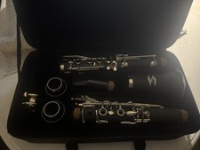 Glory GLY Professional Ebonite Clarinet with Hard Case