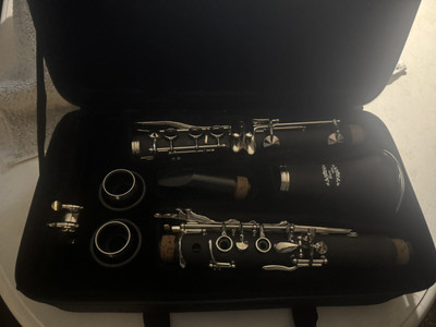 Glory GLY Professional Ebonite Clarinet with Hard Case