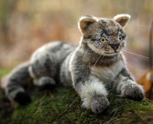 wild cat plush