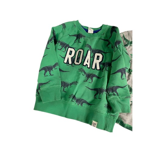 Gap Boys 4t Roar Dinosaur Matchig Outfit Set Green Sweatshirt shirt Pants - Picture 2 of 5