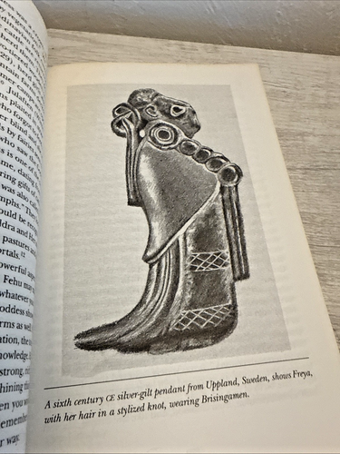 Lady of the Northern Light : A Feminist Guide to the Runes by Susan Gitlin-Emmer - Picture 6 of 8