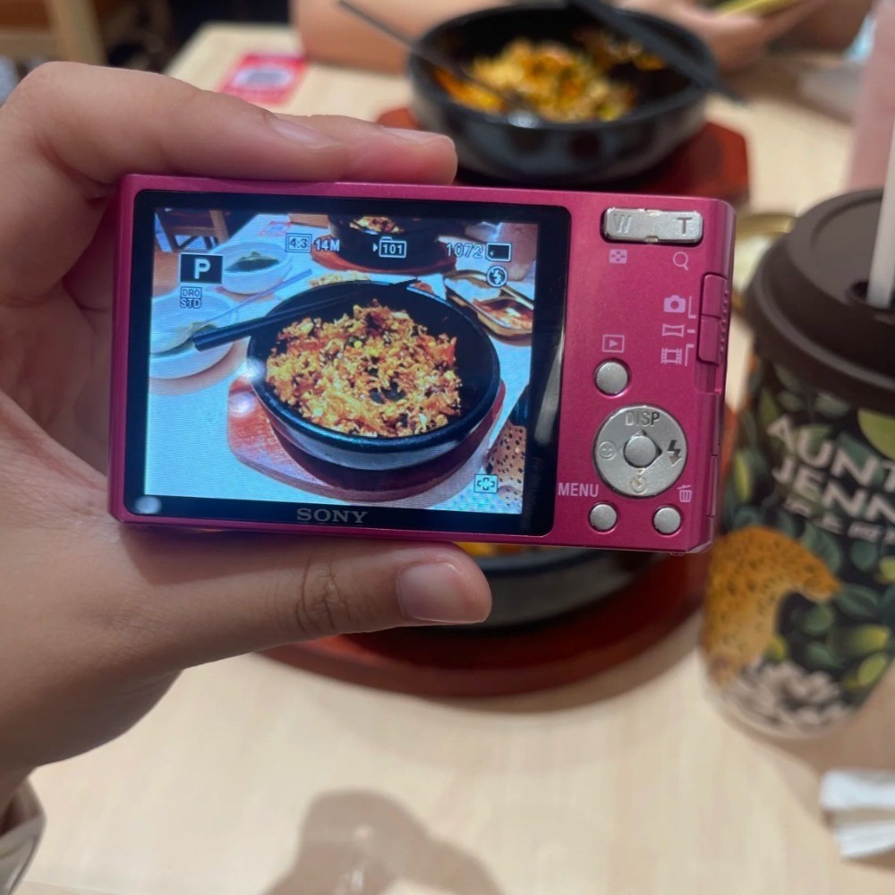 SONY Cyber-shot DSC-W530 Digital Camera 14.1 MP 4x Optical Zoom