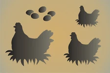Hens Nest Eggs STENCIL Chicken Rooster Farmhouse Country Barnyard DIY Art Signs