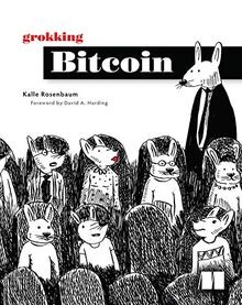 Grokking Bitcoin von Rosenbaum, Kalle | Buch | Zustand gut