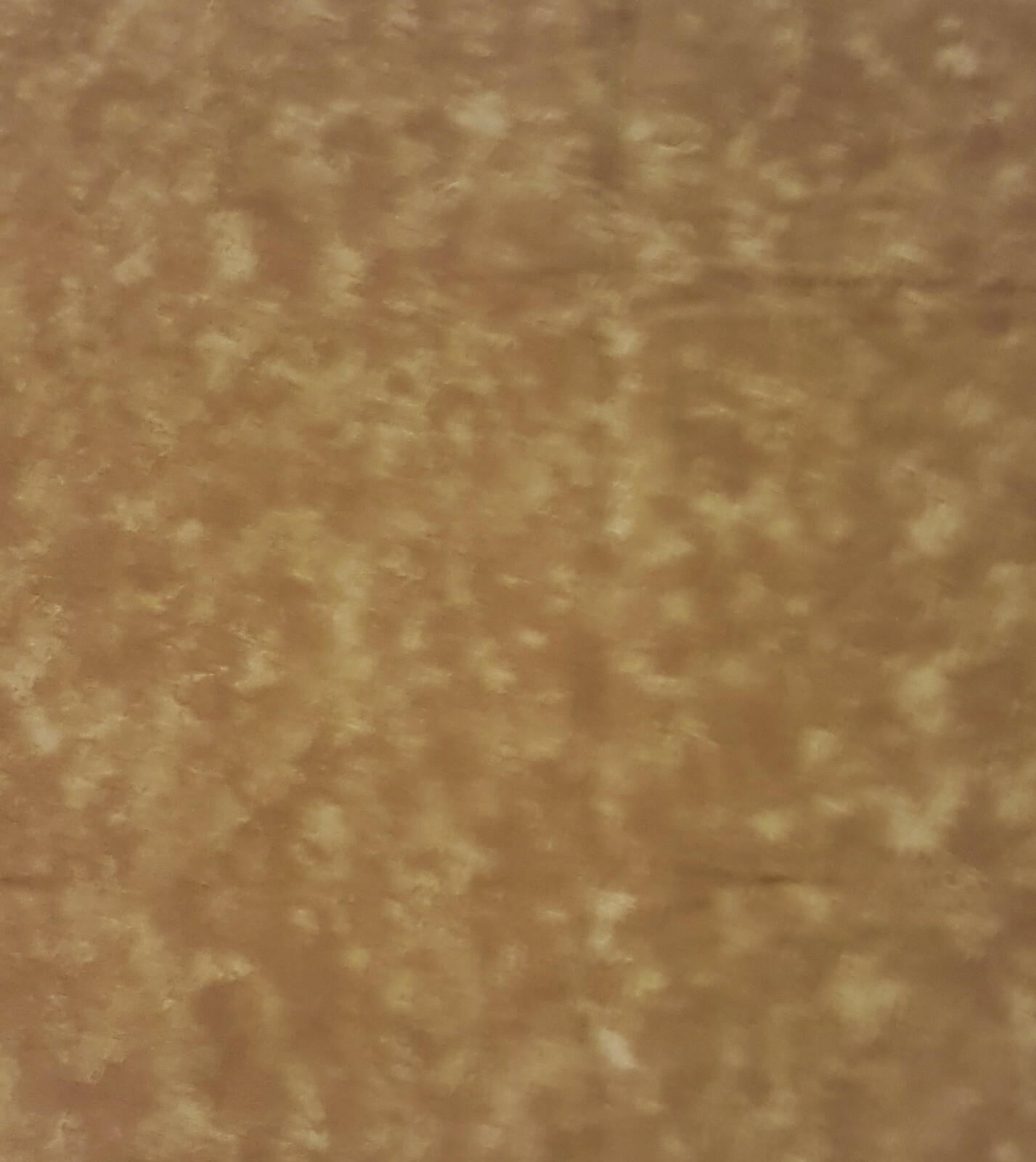 Picture 1 of 1