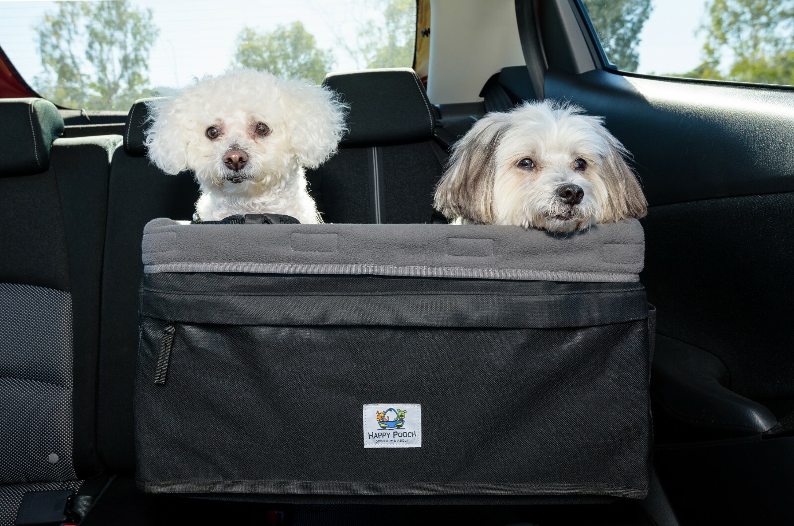 double dog booster seat