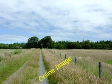 Photo 6x4 Track to Deri Lodge Wood west of Llangybi, Ceredigion Betws Ble c2012