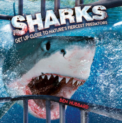 Sharks: Get Up Close To Nature's Fiercest Predators