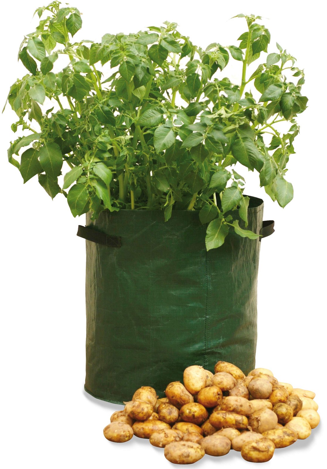 Haxnicks 3 x Potato Patio Garden Planters | Reusable 35x35x45 cm, Greed