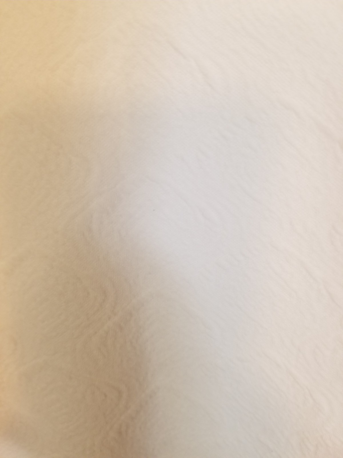 Picture 6 of 11