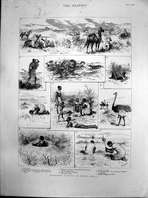 Alter antiker Druck Springbock Jagd Südafrika Buschleute Pfeilbogen 1885 19.