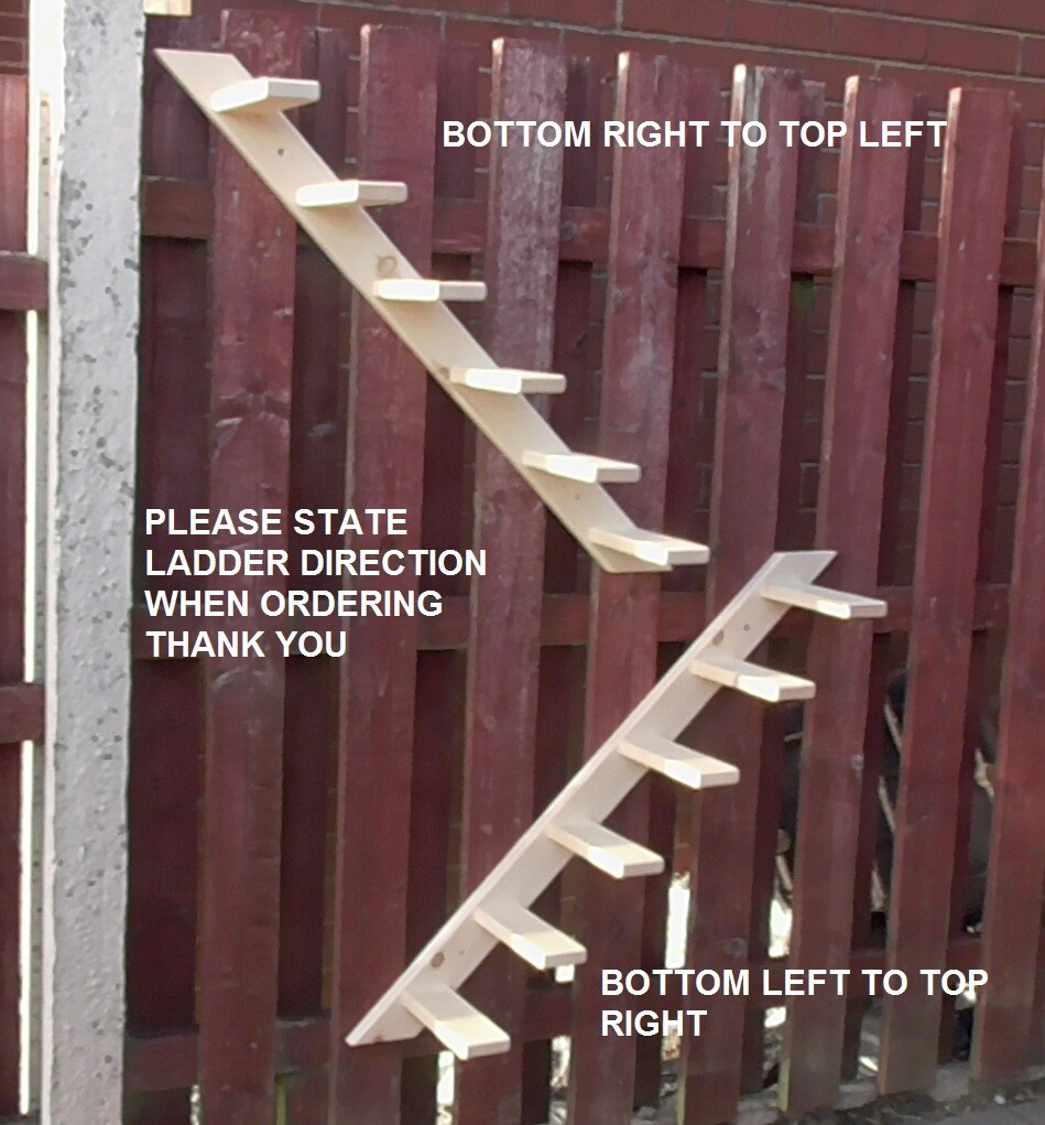 Wide Step Cat Ladder Wall Or Fence Mounted For Older Less Agile Cats Inc  Fixings