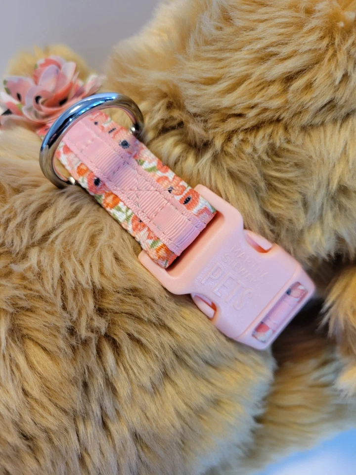 Correa para perro Martha Stewart Pets moda 4' y cuello XXL estampado rosa y floral Foto 4 de 4