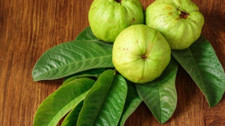 Ceylon Premium Fresh Dried Guava Leaves - Hojas De Guayaba Leaf 30 g - 200 g