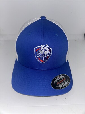 St. Francis College Terriers Port authority Flexfit Cap Hat NEW NWT L/XL Mesh