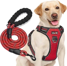 No Pull Dog Harness(M (Neck: 14.5-20.5, Chest: 22-28), Red Harness+Leash)