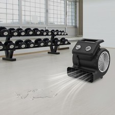 Secador de piso 250W con 3 velocidades ajustables y bajo ruido para secado rápido