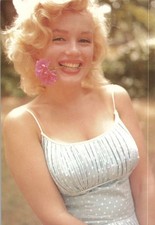Marilyn Monroe Sam Shaw Photo Smiling w/ Flower Classico 1997 Postcard