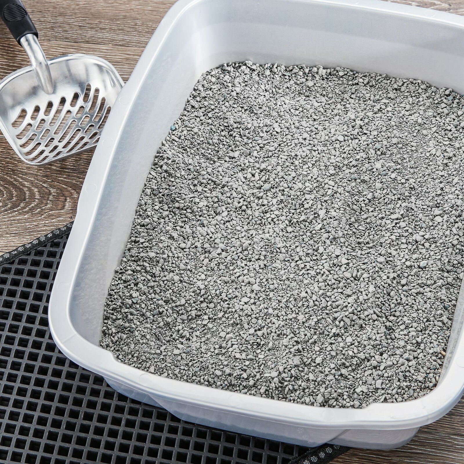 special kitty premium clay cat litter