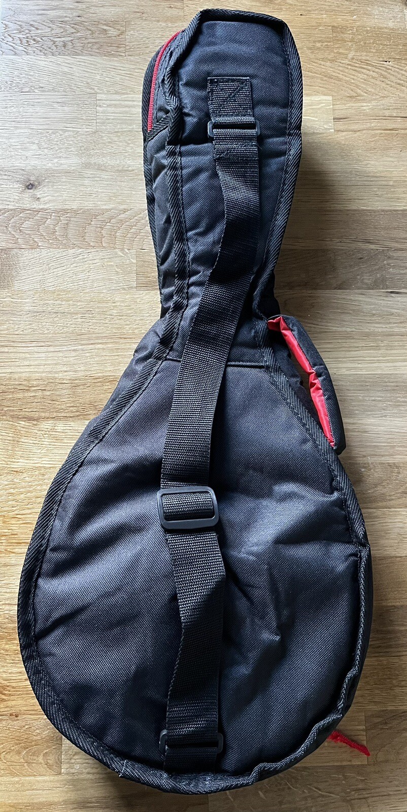 Mandolin Gig Bag eBay