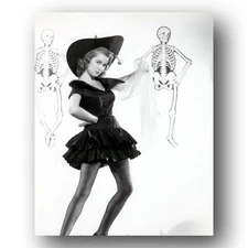 Janet Leigh actress classic beauty 8x10 Photo